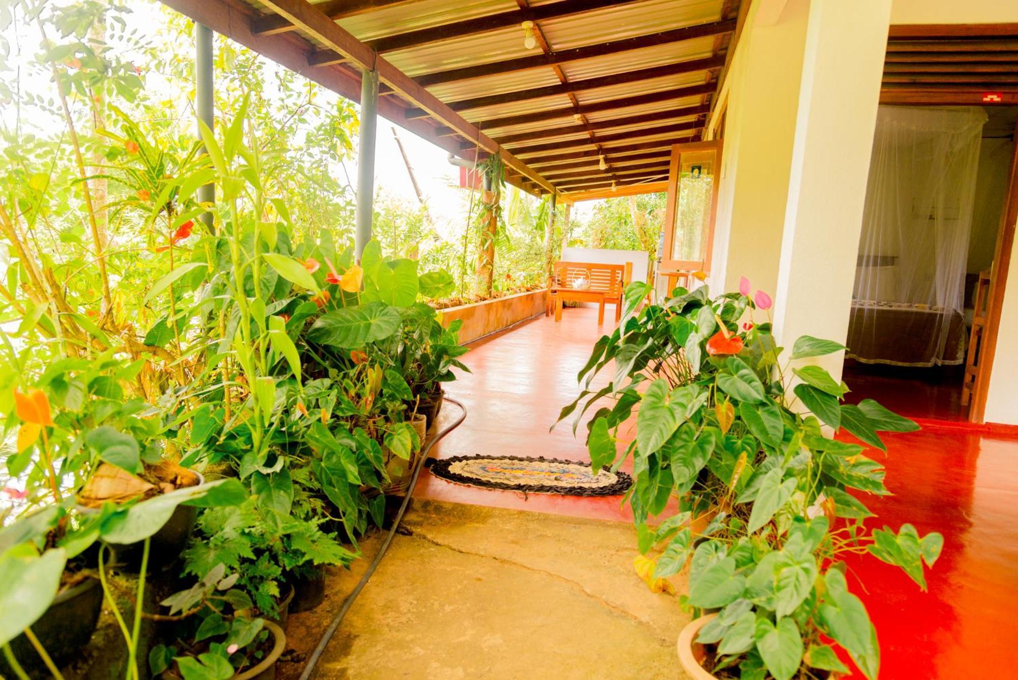 Aroma Heaven Homestay Ella Ngoại thất bức ảnh